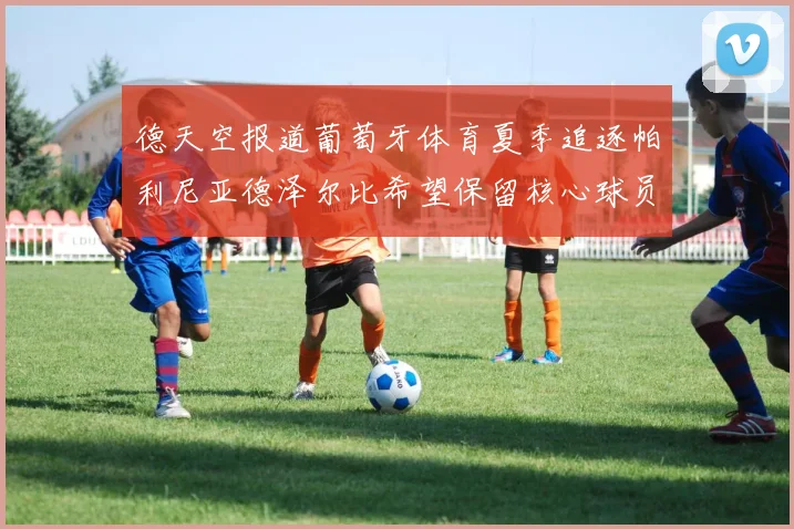 德天空报道葡萄牙体育夏季追逐帕利尼亚德泽尔比希望保留核心球员