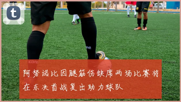阿努诺比因腿筋伤缺席两场比赛将在东决首战复出助力球队